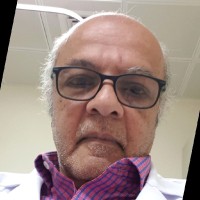 Mohammed Alamin Alshaar