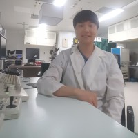 Jaehyoung Son