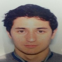Massimo Damiani