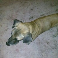 Myky Tapia