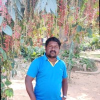 Megharaj M