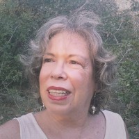 Avital Gilboa