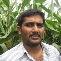 Anand D S