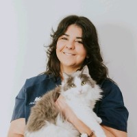 Catarina Aboim