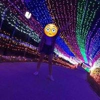 莫国强
