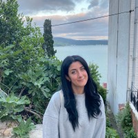 Ayşe Nur Kandemir