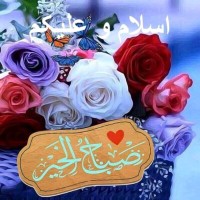 Zeeshan Yaseen