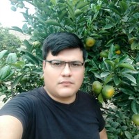 Danilo Huamani Lizarbe