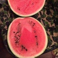 包启鑫