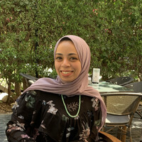 Hanan Elhefnawy
