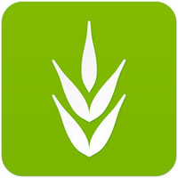 Joseph International