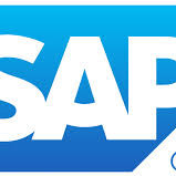 Sap Business One Environment