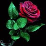 تمزابت الفحلاة