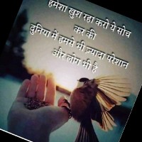 Rashid Saifi