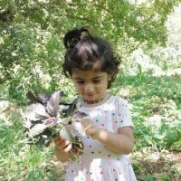 Shwan Hama Mahmood