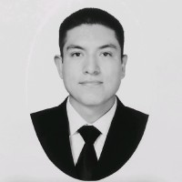 Luis Uriel Palma Garduño