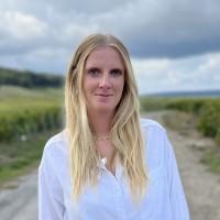 Aster Kroon
