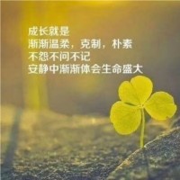 杨文慧