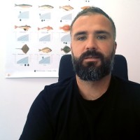 Fabien Noel