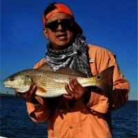 Greg Aranda