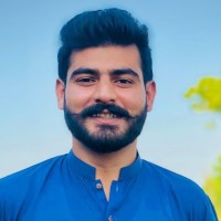 Ameer Hamza