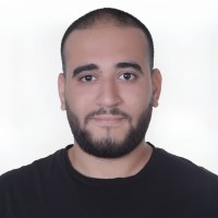 Ayman Ali