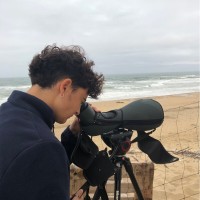 Lou Aouali