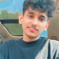 أنس نذير