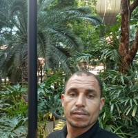 رافت اسماعيل