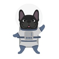 Qode Space Business Development