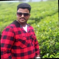 Saravanan Raman