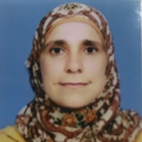 Raghda Hawari