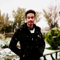 Seyyed Mohammad Amin MOUSAVI SAGHARCHI