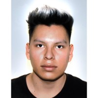 Ulises Luis Martínez Mamani