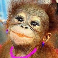 Жанета Гаврилова