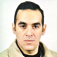 Dimos Pippidis