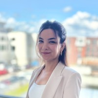 Niloufar P. Sefidi