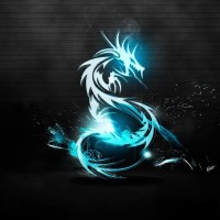 Marcio Alves Dourado