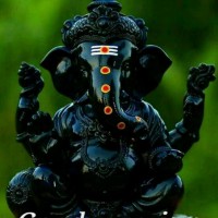 Lakshmi M M