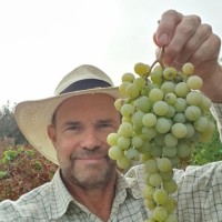Steve Patient