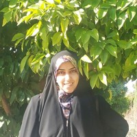 Nargess Mohammadi