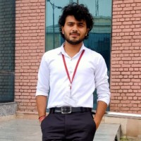 Ankit Kaushik