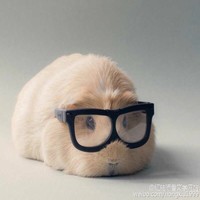 Young Gu