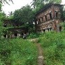 mahi alom