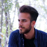 Ehsan Alizadeh