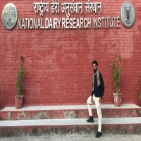 Rishi Chandel