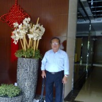 Long Nguyen