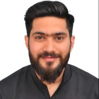 Muhammad Hamza Anwar