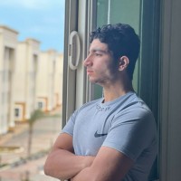 Amir Hossam Eldin Trader