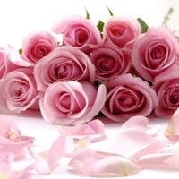 Shabina Rahamathulla